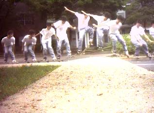 ollie.jpg